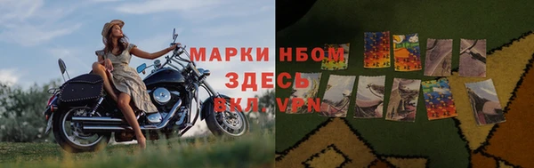 стафф Каменск-Шахтинский