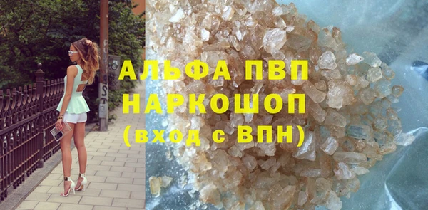 стафф Каменск-Шахтинский