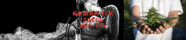 стафф Каменск-Шахтинский