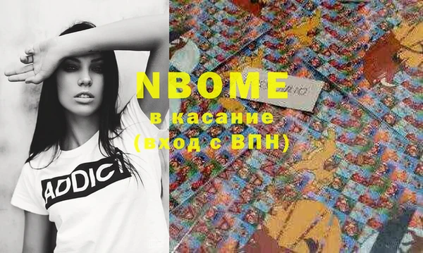стафф Каменск-Шахтинский
