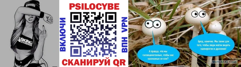 Галлюциногенные грибы прущие грибы  Купить  Горячеводский 